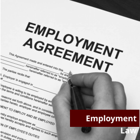 Employment  Law